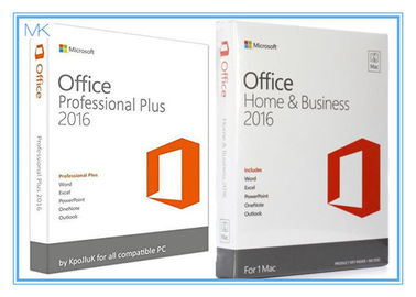 Office Professional Plus 2016 klucz produktu Windows 1 użytkownik / 1PC Z USB 3.0